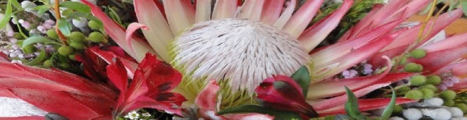 When to Visit Hermanus and Why