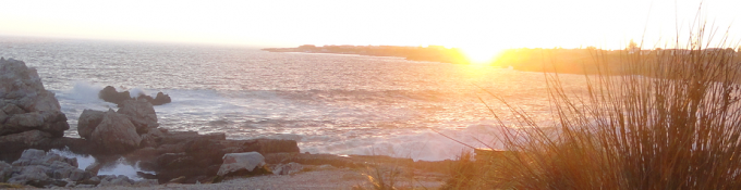 Information about Hermanus, South Africa