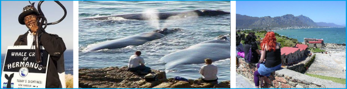 Hermanus Whale Walk