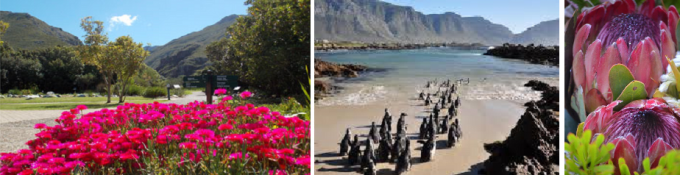 Hermanus to Kleinmond and Betty’s Bay
