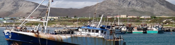 Daytrip Hermanus to Gansbaai
