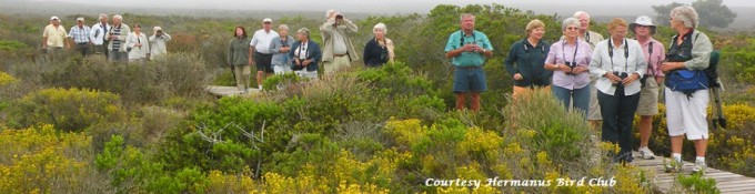 Clubs of Hermanus